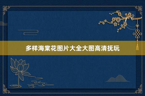 多样海棠花图片大全大图高清抚玩
