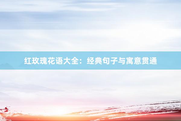 红玫瑰花语大全：经典句子与寓意贯通