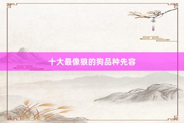 十大最像狼的狗品种先容