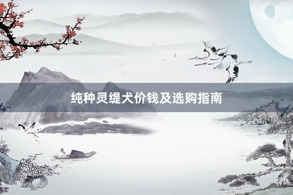 纯种灵缇犬价钱及选购指南